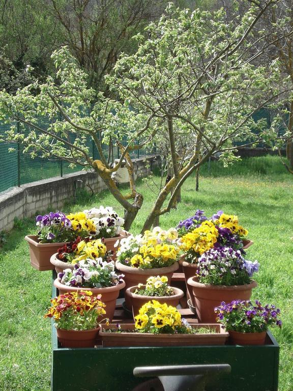 Bed and Breakfast Abruzzo Segreto Navelli Exterior foto