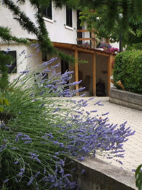 Bed and Breakfast Abruzzo Segreto Navelli Exterior foto